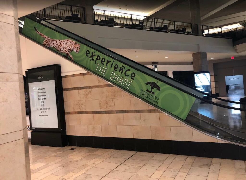 Vinyl Glass/Window Graphics